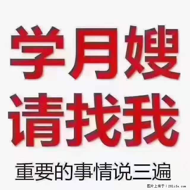 为什么要学习月嫂，育婴师？ - 新手上路 - 松原生活社区 - 松原28生活网 songyuan.28life.net