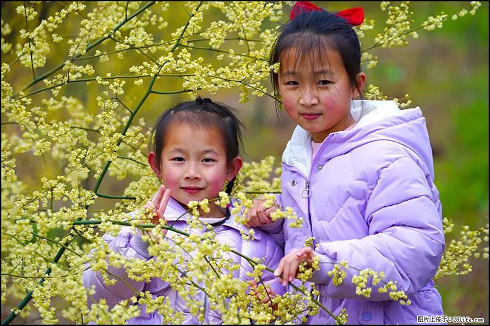 【春天，广西桂林灌阳县向您发出邀请！】米珠山前有片山苍子花在飘香 - 游山玩水 - 松原生活社区 - 松原28生活网 songyuan.28life.net