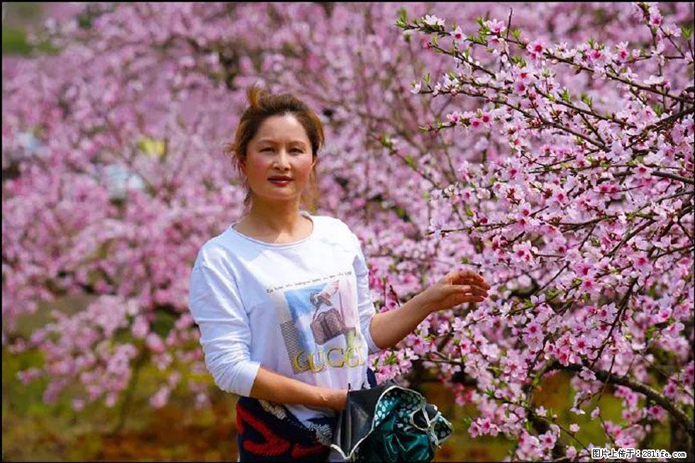 【春天，广西桂林灌阳县向您发出邀请！】官庄村有个醉美的桃花园 - 游山玩水 - 松原生活社区 - 松原28生活网 songyuan.28life.net