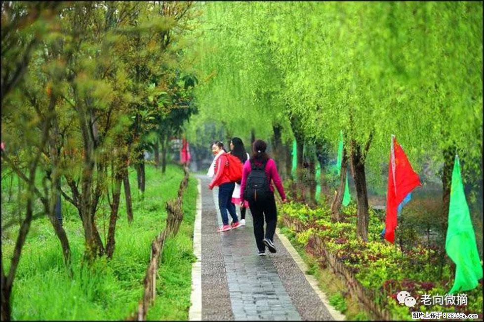 【春天，广西桂林灌阳县向您发出邀请！】江口老街又逢春 - 游山玩水 - 松原生活社区 - 松原28生活网 songyuan.28life.net