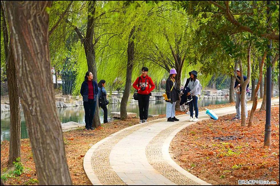 【春天，广西桂林灌阳县向您发出邀请！】江口老街又逢春 - 游山玩水 - 松原生活社区 - 松原28生活网 songyuan.28life.net
