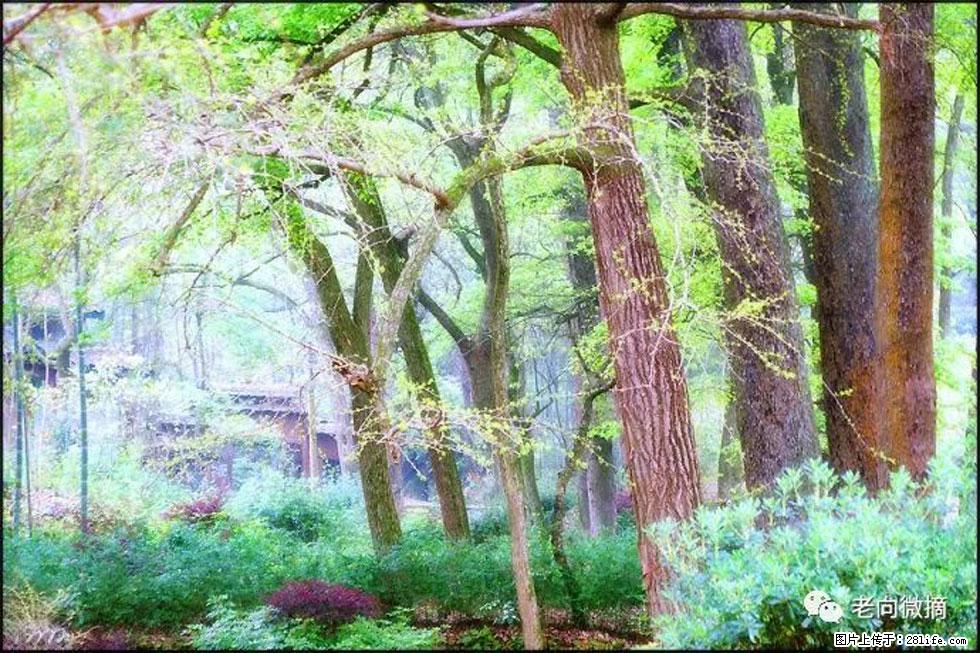 【春天，广西桂林灌阳县向您发出邀请！】在小龙村与春天约会 - 游山玩水 - 松原生活社区 - 松原28生活网 songyuan.28life.net
