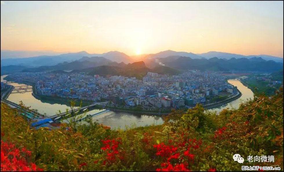 【春天，广西桂林灌阳县向您发出邀请！】登麒麟山，相约映山红 - 游山玩水 - 松原生活社区 - 松原28生活网 songyuan.28life.net