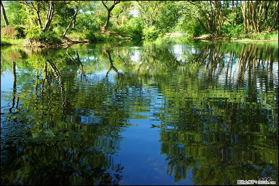 【春天，广西桂林灌阳县向您发出邀请！】熊家寨湿地公园 - 游山玩水 - 松原生活社区 - 松原28生活网 songyuan.28life.net