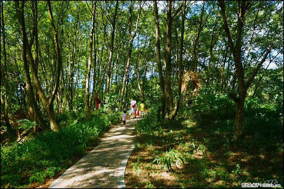 【春天，广西桂林灌阳县向您发出邀请！】熊家寨湿地公园 - 游山玩水 - 松原生活社区 - 松原28生活网 songyuan.28life.net
