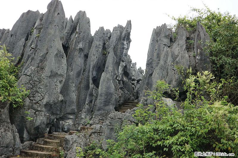 桂林旅游名城景点：灌阳文市石林 - 游山玩水 - 松原生活社区 - 松原28生活网 songyuan.28life.net