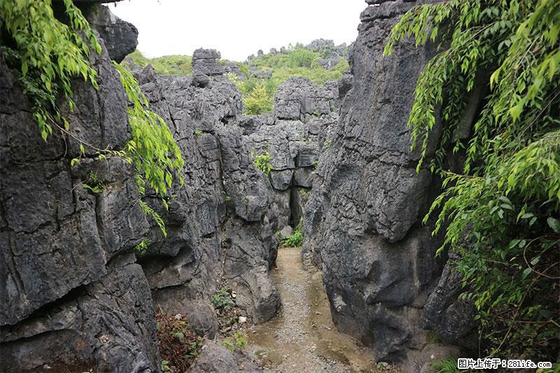 桂林旅游名城景点：灌阳文市石林 - 游山玩水 - 松原生活社区 - 松原28生活网 songyuan.28life.net
