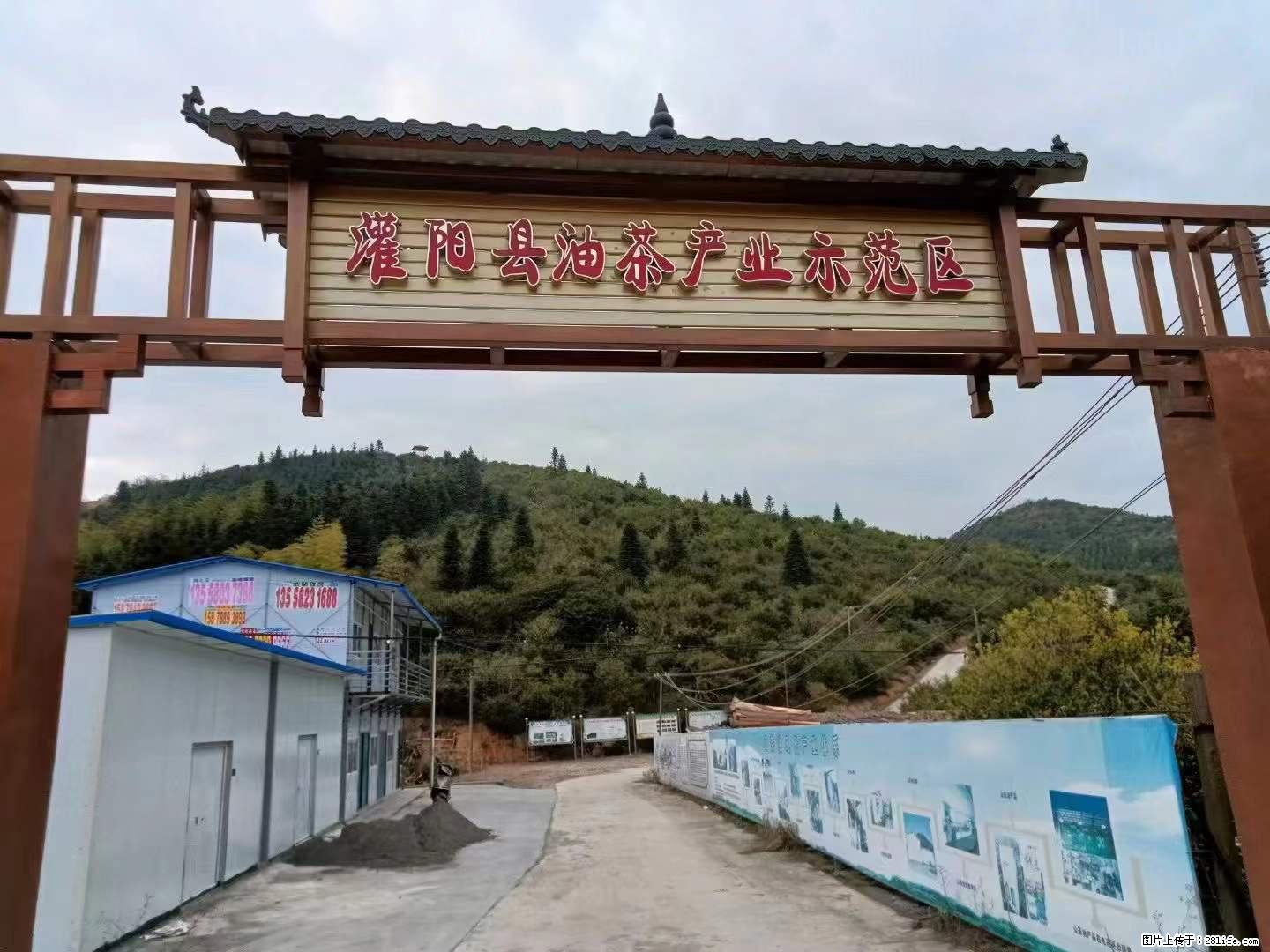 【灌阳县油茶产业示范区】一个有着充实的精神生活的人，对待身外之物自会有一种淡泊的态度 - 美食天地 - 松原生活社区 - 松原28生活网 songyuan.28life.net