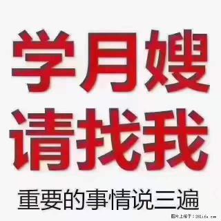 为什么要学习月嫂，育婴师？ - 松原28生活网 songyuan.28life.net