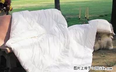 被子有异味？只要这样做，比晒太阳还强100倍！ - 家居生活 - 松原生活社区 - 松原28生活网 songyuan.28life.net