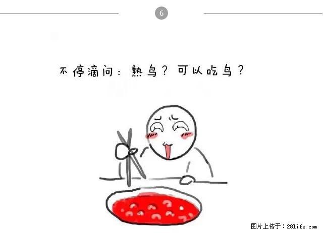 千万不要和这9种哈卵一起吃火锅！ - 美食天地 - 松原生活社区 - 松原28生活网 songyuan.28life.net