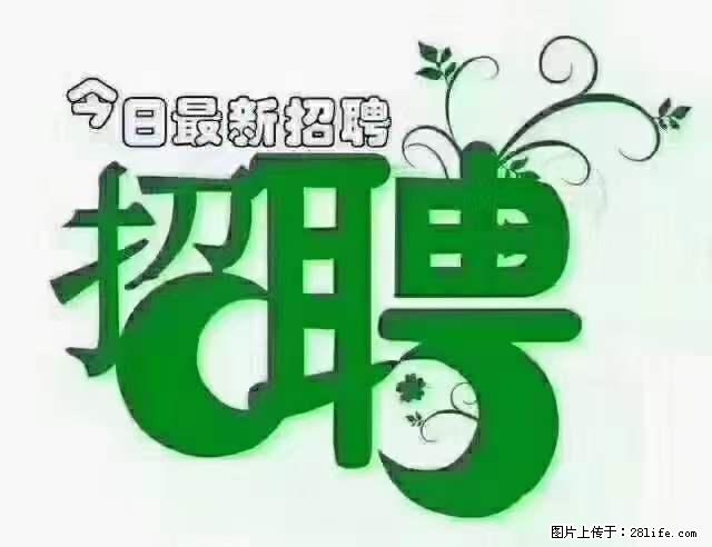 【招聘】产康师 - 职场交流 - 松原生活社区 - 松原28生活网 songyuan.28life.net