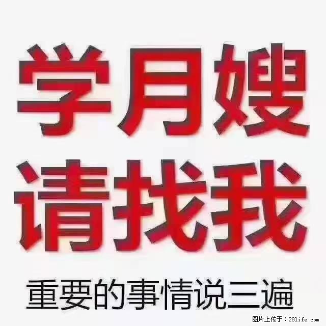 【招聘】月嫂，上海徐汇区 - 职场交流 - 松原生活社区 - 松原28生活网 songyuan.28life.net