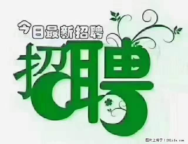 急聘！急聘！上海酒店长期前台，做六休一，每天8小时，6000块钱一月 - 职场交流 - 松原生活社区 - 松原28生活网 songyuan.28life.net