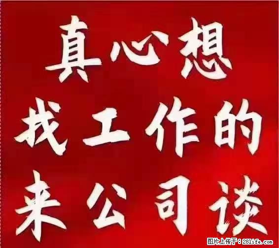 【上海】国企,医院招两名男保安,55岁以下,身高1.7米以上,无犯罪记录不良嗜好 - 职场交流 - 松原生活社区 - 松原28生活网 songyuan.28life.net