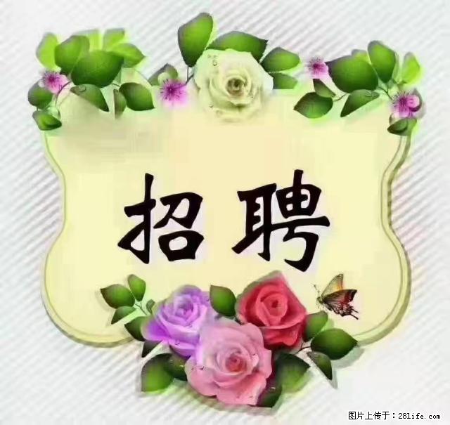 【招聘】住家育儿嫂，上户日期：4月4日，工作地址：上海 黄浦区 - 职场交流 - 松原生活社区 - 松原28生活网 songyuan.28life.net