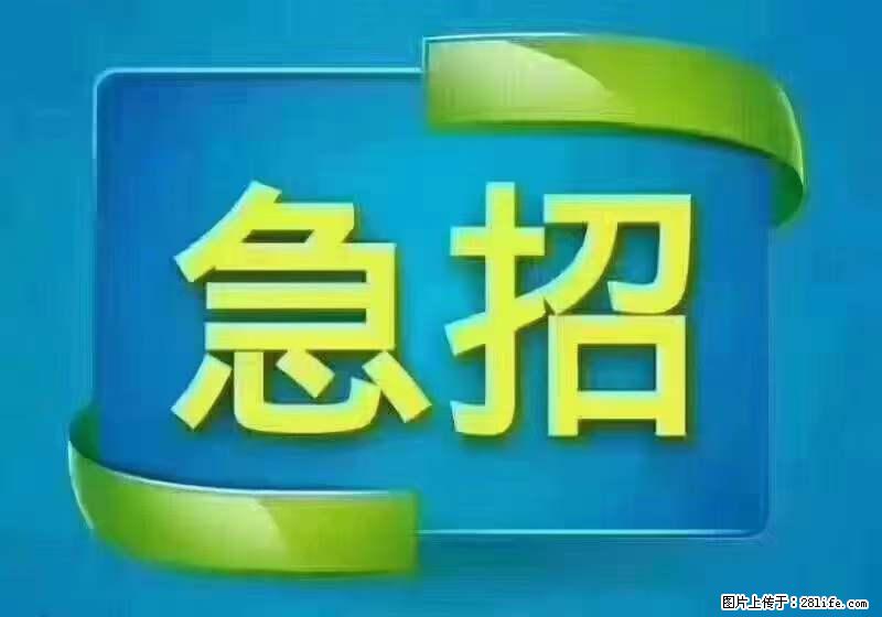 招出纳8000元/月,无证可以,要有相关经验,上海五险一金,包住,包工作餐,做六休一。 - 职场交流 - 松原生活社区 - 松原28生活网 songyuan.28life.net