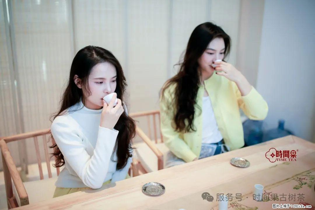 时间果百年古树龙珠普洱生茶 - 购物交流 - 松原生活社区 - 松原28生活网 songyuan.28life.net