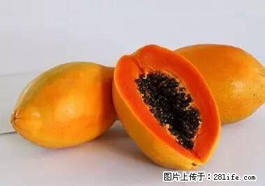 晕车、脚气、牙齿变黄、皮肤粗糙？学会这些三分钟搞定！ - 松原生活资讯 - 松原28生活网 songyuan.28life.net