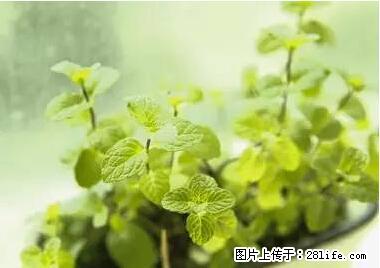 晕车、脚气、牙齿变黄、皮肤粗糙？学会这些三分钟搞定！ - 松原生活资讯 - 松原28生活网 songyuan.28life.net