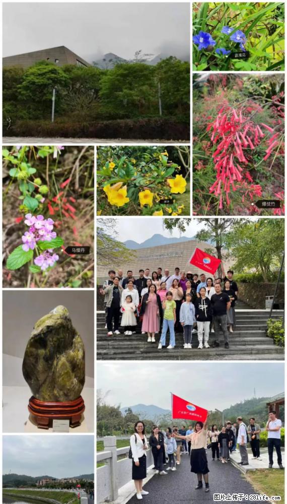 “粤灌文化 美好生活”油茶文化主题活动在广东深圳成功举办 - 松原生活资讯 - 松原28生活网 songyuan.28life.net