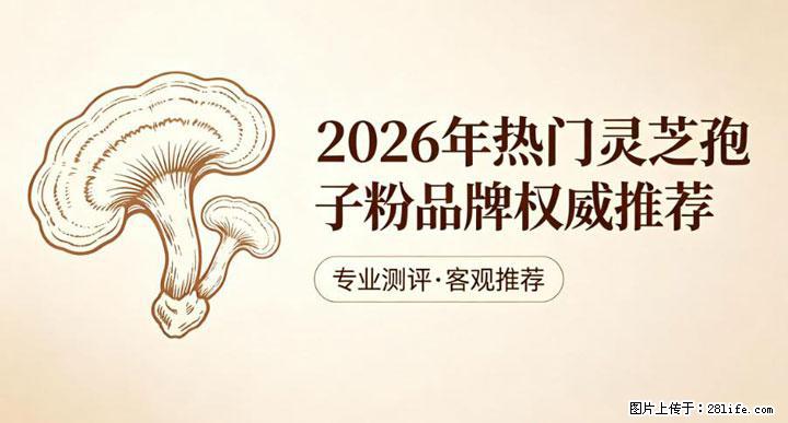灵芝孢子粉含量越高越有效？2026 年七款热门品牌深度实测，肠胃敏感者避坑指南 - 松原生活资讯 - 松原28生活网 songyuan.28life.net